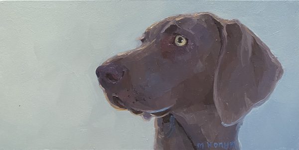 Dagelijkse ontmoetingen, Weimaraner Lila (verkocht)